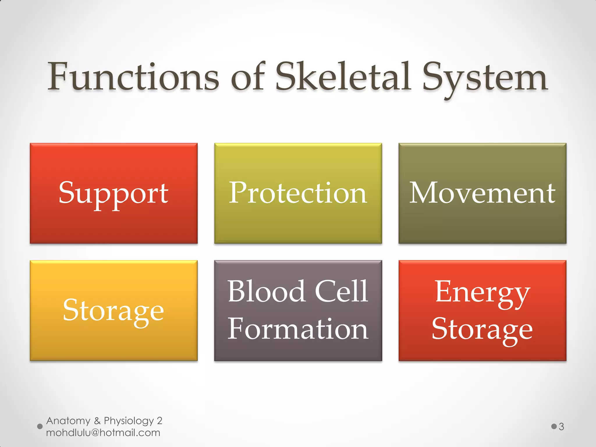 Functions of Skeletal System

  Support                Protection   Movement


                         Blood Cell    Energy
   Storage
                         Formation     Storage

Anatomy & Physiology 2
                                                 3
mohdlulu@hotmail.com
 