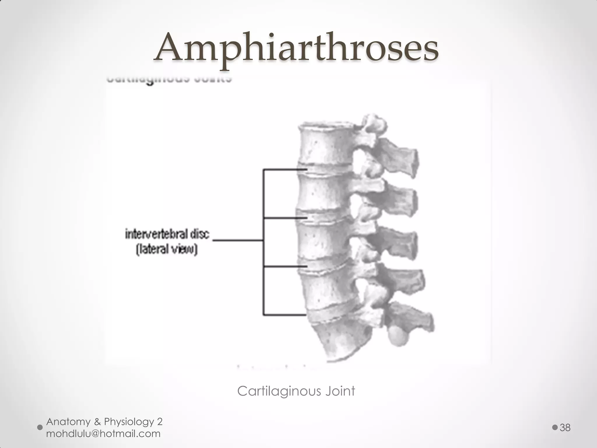 Amphiarthroses




                         Cartilaginous Joint

Anatomy & Physiology 2
                                               38
mohdlulu@hotmail.com
 