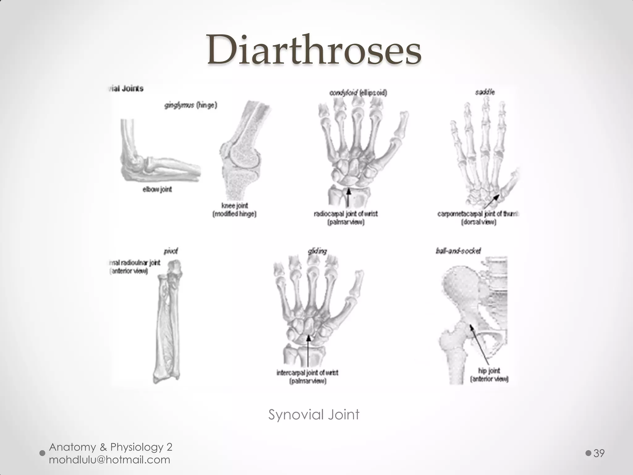 Diarthroses




                            Synovial Joint

Anatomy & Physiology 2
                                             39
mohdlulu@hotmail.com
 