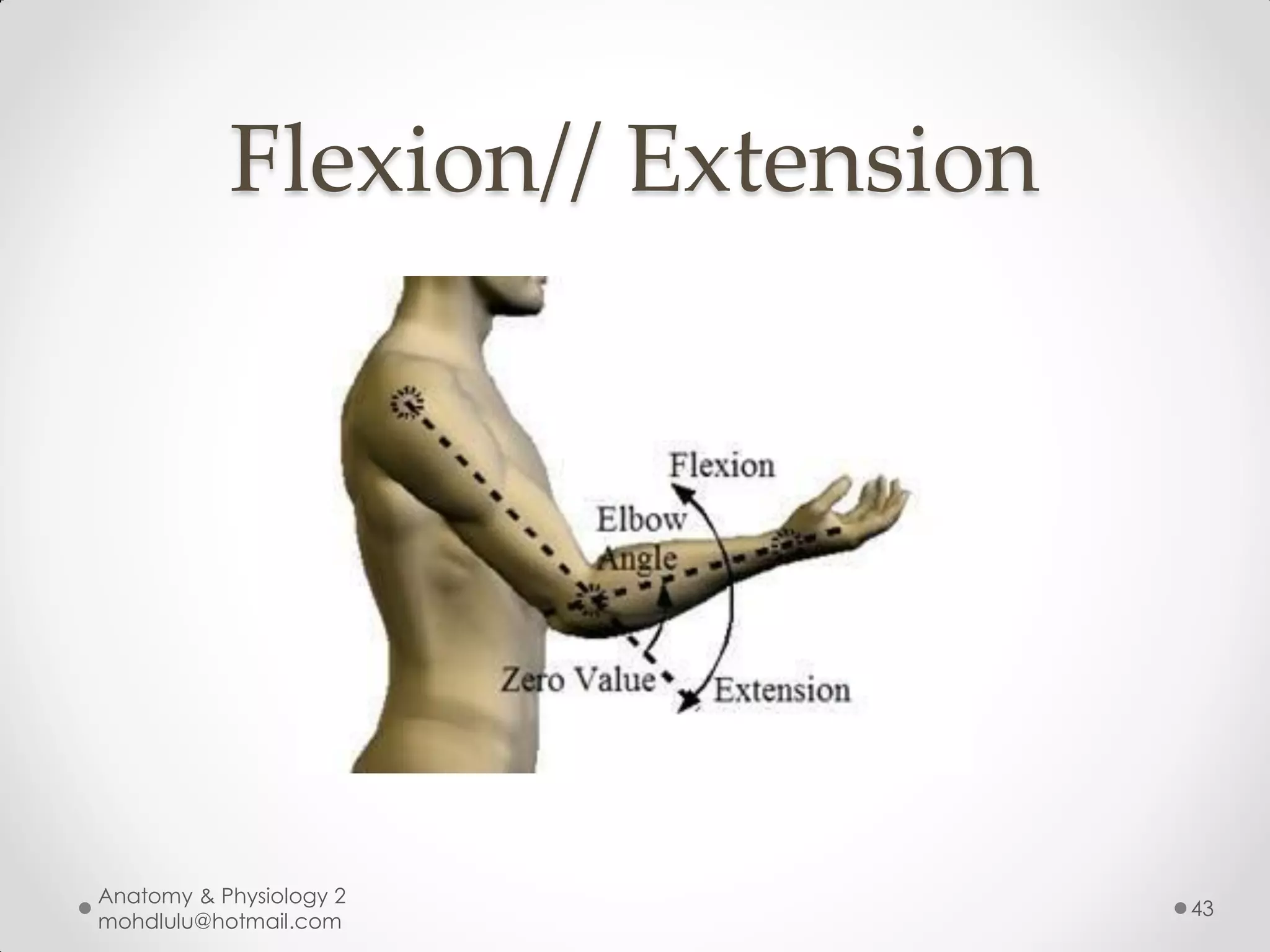 Flexion// Extension




Anatomy & Physiology 2
                                 43
mohdlulu@hotmail.com
 