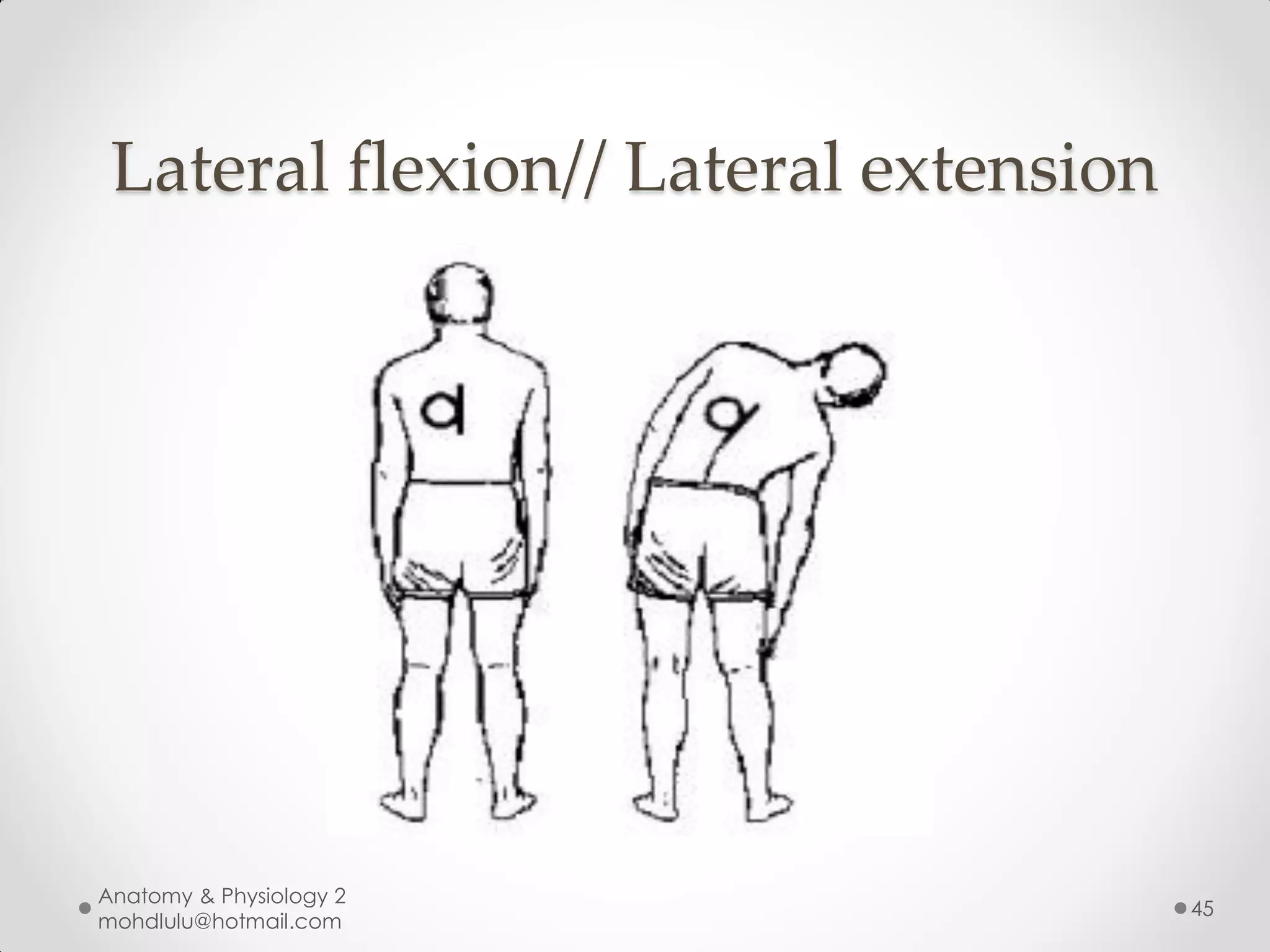 Lateral flexion// Lateral extension




Anatomy & Physiology 2
                                       45
mohdlulu@hotmail.com
 