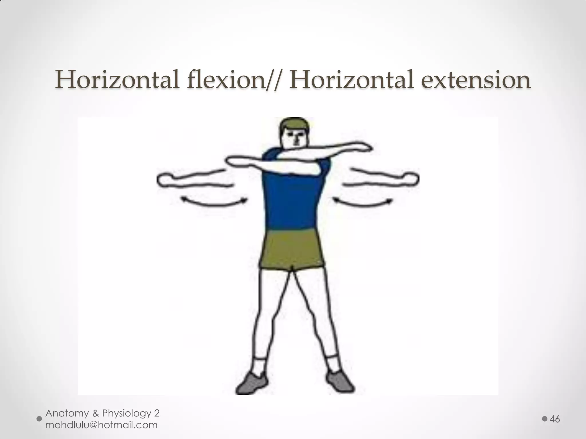 Horizontal flexion// Horizontal extension




Anatomy & Physiology 2
                                             46
mohdlulu@hotmail.com
 