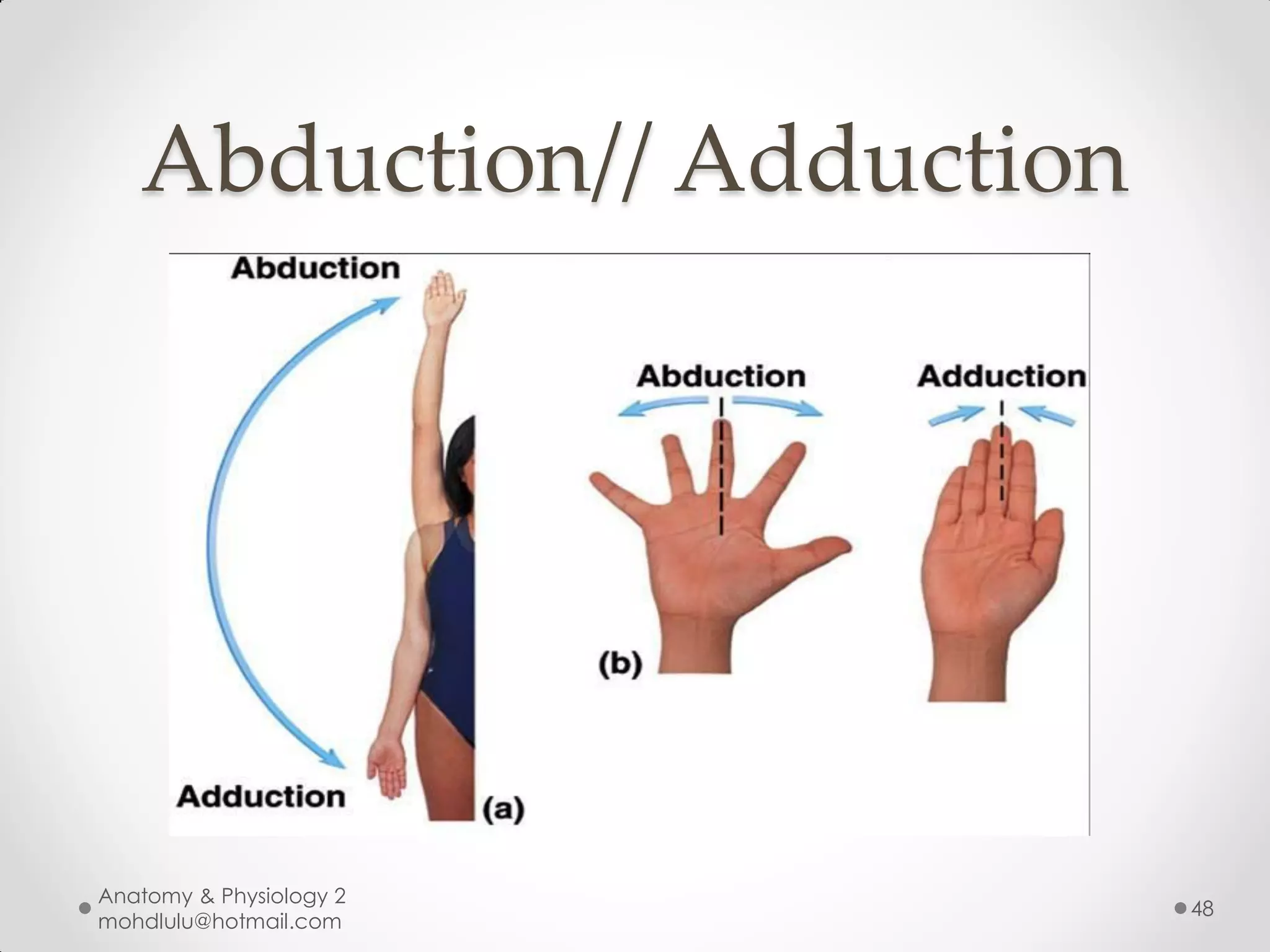 Abduction// Adduction




Anatomy & Physiology 2
                           48
mohdlulu@hotmail.com
 