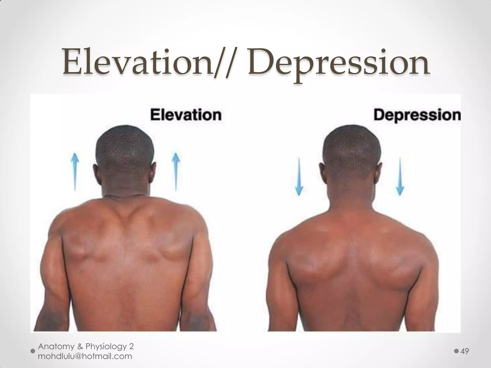 Elevation// Depression




Anatomy & Physiology 2
                              49
mohdlulu@hotmail.com
 
