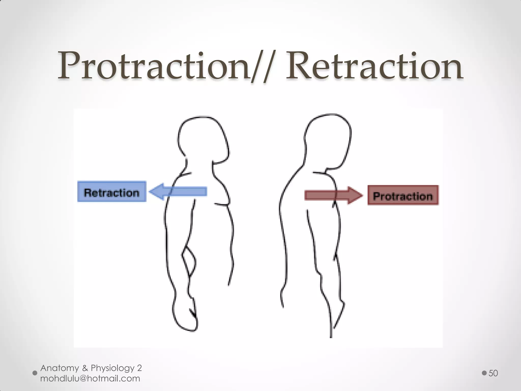 Protraction// Retraction




Anatomy & Physiology 2
                              50
mohdlulu@hotmail.com
 