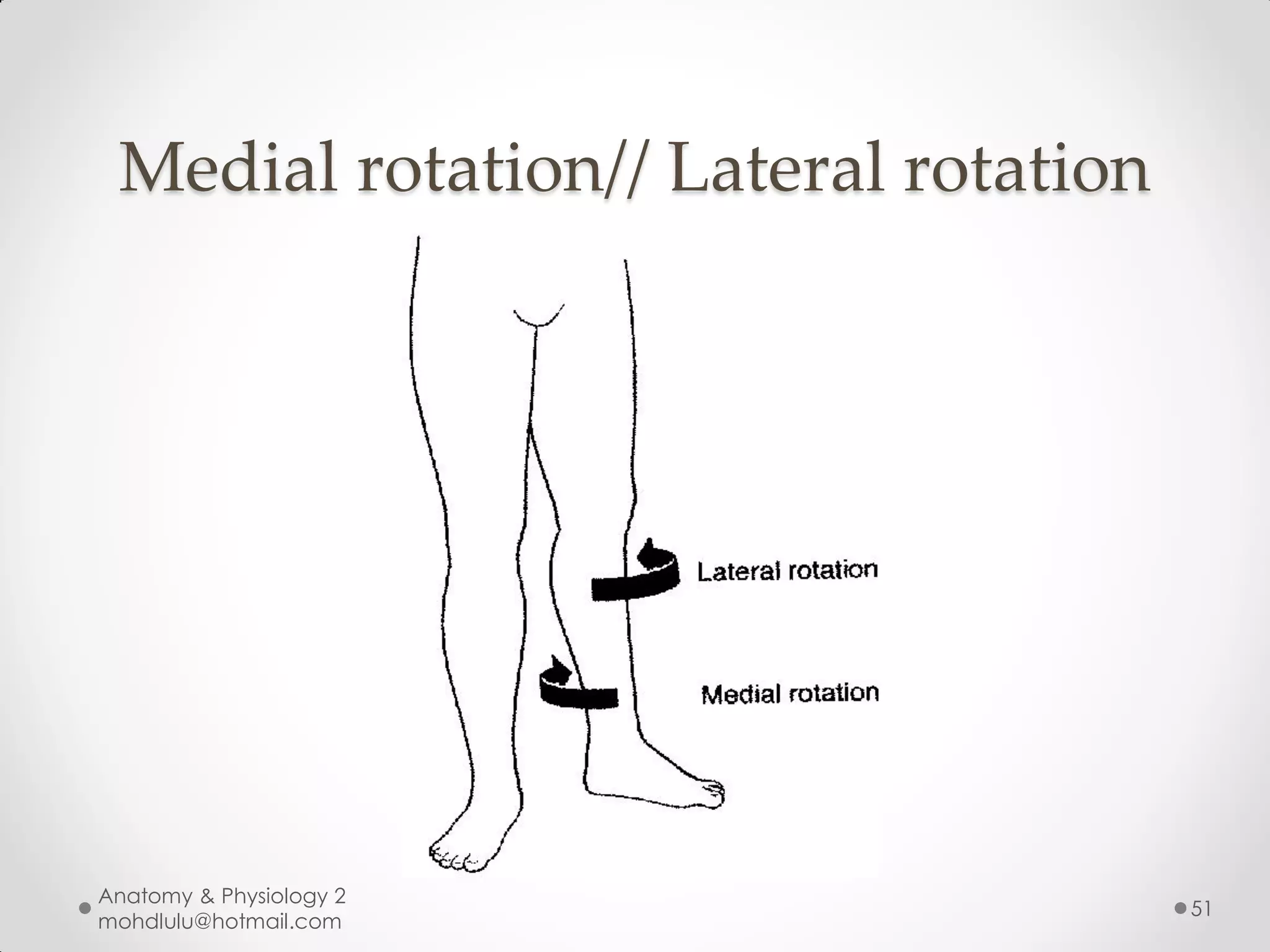 Medial rotation// Lateral rotation




Anatomy & Physiology 2
                                      51
mohdlulu@hotmail.com
 