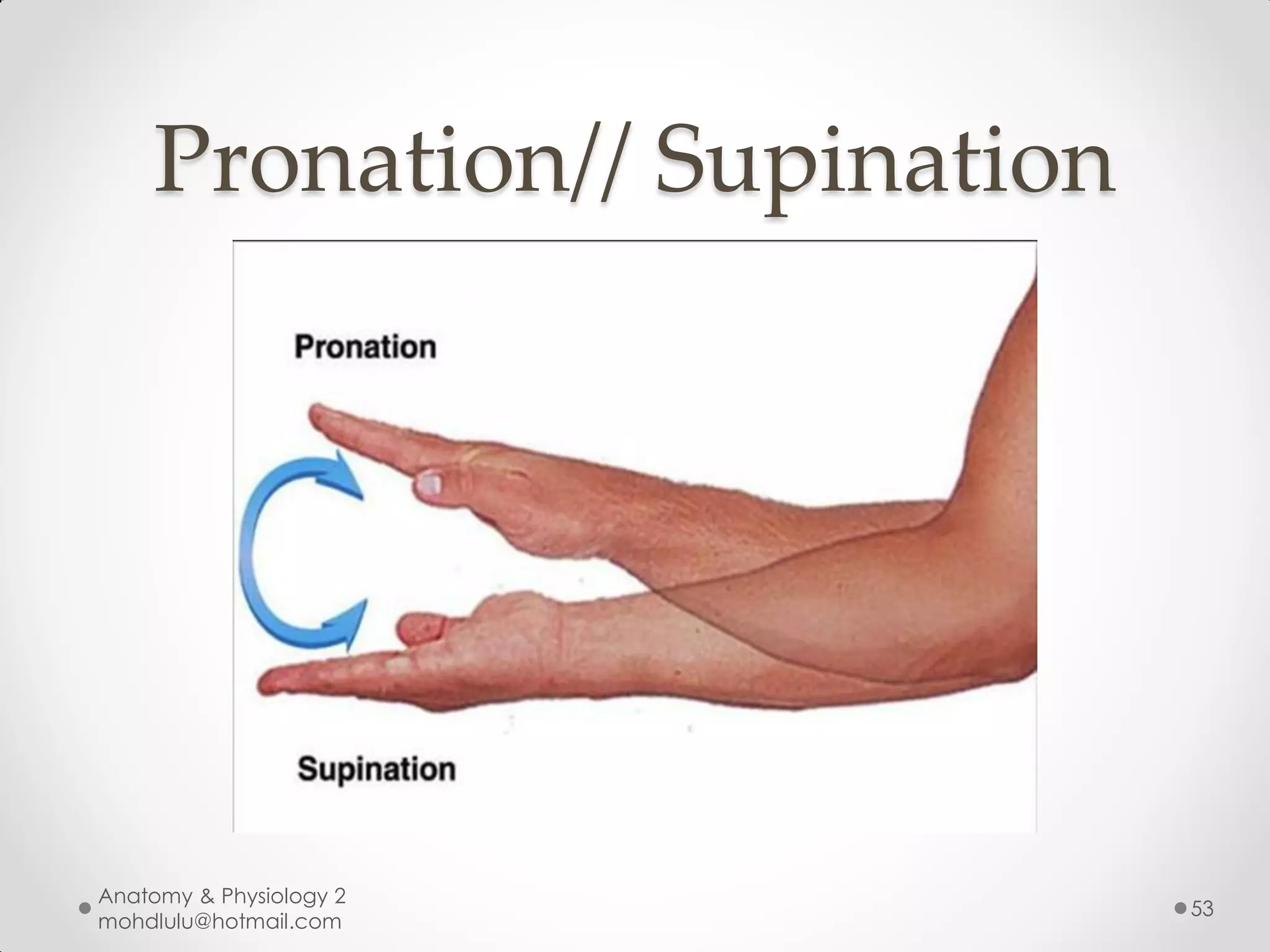 Pronation// Supination




Anatomy & Physiology 2
                             53
mohdlulu@hotmail.com
 