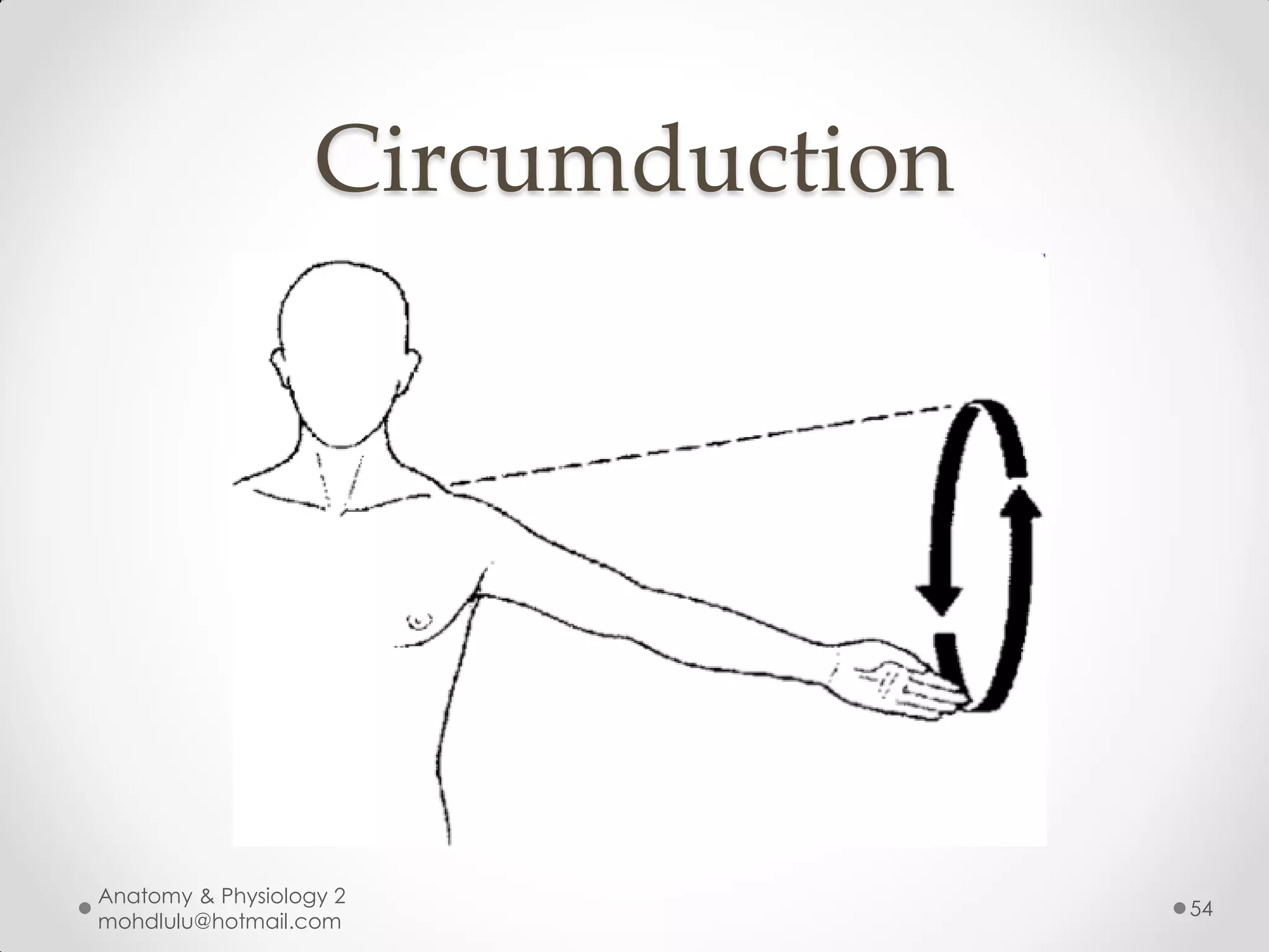 Circumduction




Anatomy & Physiology 2
                                   54
mohdlulu@hotmail.com
 
