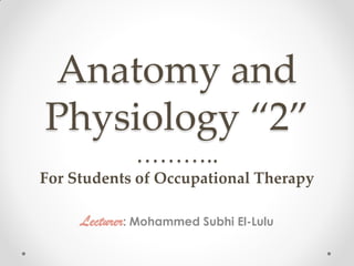 Anatomy and
Physiology “2”
              ………..
For Students of Occupational Therapy

     Lecturer: Mohammed Subhi El-Lulu
 