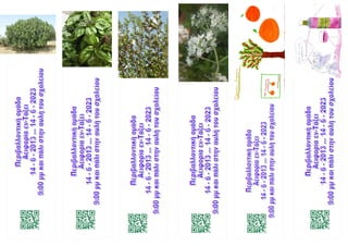 σελιδοδείκτες 12-13