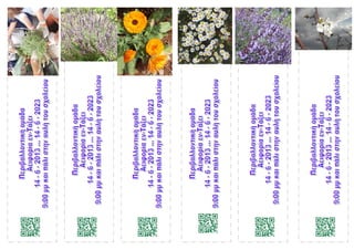 σελιδοδείκτες 12-13