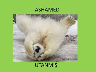 ASHAMED
UTANMIŞ
 