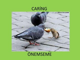 CARİNG
ÖNEMSEME
 