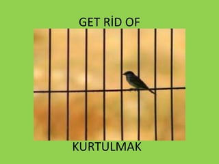 GET RİD OF
KURTULMAK
 