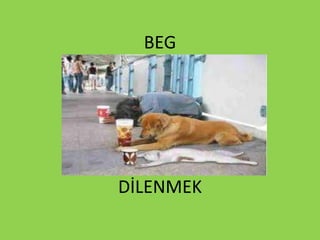 BEG
DİLENMEK
 