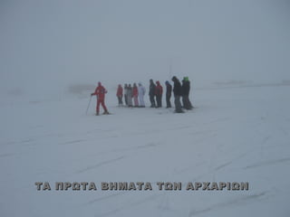 ΤΑ ΠΡΩΤΑ ΒΗΜΑΤΑ ΤΩΝ ΑΡΧΑΡΙΩΝ
 