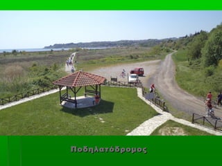 Ποδηλατόδρομος
 