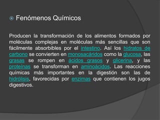   Fenómenos Químicos

Producen la transformación de los alimentos formados por
moléculas complejas en moléculas más sencillas que son
fácilmente absorbibles por el intestino. Así los hidratos de
carbono se convierten en monosacáridos como la glucosa, las
grasas se rompen en ácidos grasos y glicerina, y las
proteínas se transforman en aminoácidos. Las reacciones
químicas más importantes en la digestión son las de
hidrólisis, favorecidas por enzimas que contienen los jugos
digestivos.
 