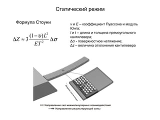 Статический режим
σ
υ
∆
−
≈∆ 2
2
)1(
3
ET
L
Z
Формула Стоуни ν и E – коэффициент Пуассона и модуль
Юнга;
l и t – длина и толщина прямоугольного
кантилевера;
Δσ - поверхностное натяжение;
Δz – величина отклонения кантилевера
 