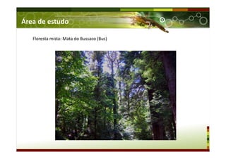 Floresta mista: Mata do Bussaco (Bus)
Área de estudo
 