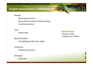 Grupos taxonómicos e Métodos
- Anfíbios
- Busca ativa em terra
- Busca ativa em linhas e massas de água
- Transetos noturnos
- Aves
- Pontos fixos
- Micromamíferos
- Armadilhagem (Sherman traps)
- Carnívoros
- Indícios de presença
- Morcegos
- Ultrassons
AMOSTRAGENS
- Mínimo 2 anos
- 6 réplicas por habitat
 