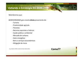 Relembremos que:
BIODIVERSIDADE gera receita direta proveniente de:
- Turismo
- Produtividade agrícola
- Florestas
- Recursos aquícolas e hídricos
- Saúde pública e ambiental
- Mercado de carbono
- Setor energético
- Bens e serviços ecossistémicos
- Mitigação de riscos
Como??(e.g. Edwards 1998, EuroStat EC 2012, Bonds 2012)
Voltando à Estratégia EU 2020…
 