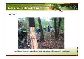 Caso prático: Mata do Buçaco
Inclusão
Inserção de reclusos na gestão de recursos naturais (7 Buçaco + 7 Mealhada)
 
