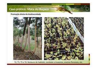 Caso prático: Mata do Buçaco
Promoção direta da biodiversidade
T2, T3, T5 e T6: Restauro de habitats, combate a invasoras, viveiros florestais, etc.
 