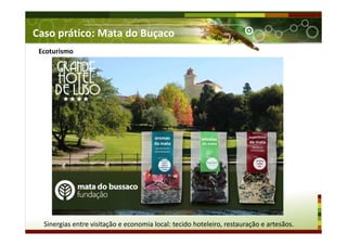 Caso prático: Mata do Buçaco
Ecoturismo
Sinergias entre visitação e economia local: tecido hoteleiro, restauração e artesãos.
 