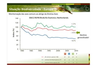 Situação Biodiversidade - Europa
Monitorização das aves comuns ao abrigo da Diretiva Aves
Declínio
generalizado!
 