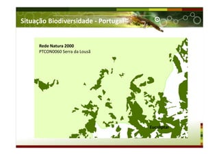 Rede Natura 2000
PTCON0060 Serra da Lousã
Eucaliptal
Situação Biodiversidade - Portugal
 