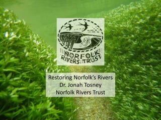 Restoring Norfolk’s Rivers
Dr. Jonah Tosney
Norfolk Rivers Trust
 