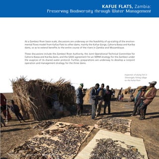 27
Kafue Flats, Zambia:
Preserving Biodiversity through Water Management
At a Zambezi River basin scale, discussions are underway on the feasibility of up-scaling of the environ-
mental flows model from Kafue Flats to other dams, mainly the Kafue Gorge, Cahorra Bassa and Kariba
dams, so as to extend benefits to the entire course of the rivers in Zambia and Mozambique.
These discussions include the Zambezi River Authority, the Joint Operational Technical Committee for
Cahorra Bassa and Kariba dams, and the SADC agreement for an IWRM strategy for the Zambezi under
the auspices of its shared water protocol. Further, preparations are underway to develop a conjoint
operation and management strategy for the three dams.
I n n o v a t i o n f o r S u s t a i n a b l e D e v e l o p m e n t : L o c a l C a s e S t u d i e s f r o m A f r i c a
Inspection of drying fish in
Shimungalu fishing village
on the Kafue River
Photo:WWF-Canon/MartinHarvey
 