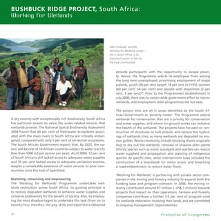 30
A dry country with exceptionally rich biodiversity, South Africa
has particular reason to value the water-related services that
wetlands provide. The National Spatial Biodiversity Assessment
2004 found that 44 per cent of freshwater ecosystems associ-
ated with the main rivers in South Africa are critically endan-
gered, compared with only 5 per cent of terrestrial ecosystems.
The South African Government reports that, by 2025, the na-
tion will be one of 14 African countries subject to water scarcity
(less than 1000 m3 per person per year). As of 2004, 12 per cent
of South Africans still lacked access to adequate water supplies
and 35 per cent lacked access to adequate sanitation services,
despite a remarkable extension of water services to poor com-
munities since the end of apartheid.
Restoring, conserving and empowering
The ‘Working for Wetlands’ Programme undertakes wet-
lands restoration across South Africa. Its guiding principle is
to restore degraded wetlands to enhance water supplies and
conserve biodiversity for the benefit of society. Also, by employ-
ing the most disadvantaged to undertake this task (from six to
twenty-four months), the pay, skills and experience obtained
provide participants with the opportunity to escape pover-
ty. Hence, the Programme selects its employees from among
the long term unemployed; prioritising employment of single
parents, youth (20 per cent target; 18 per cent in FY05), women
(60 per cent; 54 per cent) and people with disabilities (2 per
cent; 4 per cent)25
. Prior to the Programme’s establishment in
July 2000, there was no nation-wide government effort to restore
wetlands, and employment relief programmes did not exist.
The project sites are all in areas identified by the South Af-
rican Government as ‘poverty nodes’. The Programme selects
wetlands for conservation that are a priority for conservation
and water supplies, and where on-ground works can enhance
the health of the wetlands. The projects have focused on con-
struction of structures to halt erosion and restore the hydrol-
ogy of wetlands sites, as many wetlands are degraded by ero-
sion gullies. Works commonly include blocking drains originally
dug to dry out the wetlands, removal of invasive alien plants
(thirsty species such as exotic eucalypts and wattles can reduce
water supplies) and propagation and planting of indigenous
species. At specific sites, other interventions have included the
construction of a boardwalk for visitor access and breaching
a road embankment to restore water flows.
‘Working for Wetlands’ is partnering with private sector com-
panies in the mining and forestry industry to expand both the
funding base and program outreach. In 2006, the mining in-
dustry contributed around R7 million (~US$ 1 million) towards
projects that impact on their operations. Farmers and forestry
companies contribute a further 3-5 per cent of program costs
for wetlands restoration involving their lands, and are committed
to ongoing management responsibilities.
Bushbuck Ridge Project, South Africa:
Working for Wetlands
P r o t e c t i o n o f E c o s y s t e m s
Lake Fundudzi, another
Working for Wetlands project
site in South Africa, is an
important source of fish for
the local communities.
Photo:WWF-Canon
 