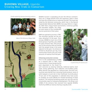 54 S u s t a i n a b l e To u r i s m
Buhoma Village, Uganda:
Creating New Trails in Ecotourism
Wildlife tourism is expanding all over the African continent.
How can a village benefit from this expansion when it does
not have the infrastructure to welcome tourists? This issue was
raised by the Buhoma community, which lives in the Bwindi
Impenetrable National Park (BINP), Kanungu District in Ugan-
da. With their unique forest environment, numerous gorillas
and abundant wildlife, the villag-
ers were aware of the considerable
tourism potential of their place.
BINP was opened to tourists in 1991.
The mountain gorillas are the pri-
mary attraction of the park. Tour-
ists pay US$500 to track one of the
three groups of gorillas, plus US$20
for park entrance fees. Only 20 per
cent of the entrance fees are shared
with the people living in the areas
adjacent to the park. As entrance is
limited to 24 persons per day, local
communities receive only very small
amounts of revenue from the park.
Enhancing ecotourism services
Prior to the establishment of BINP
as a national park in 1991, local
communities in areas bordering the
park depended on the forest for
such resources as weaving materials, medicinal plants, bush
meat, honey gathering, fruit collection and building poles.
When Bwindi was gazetted as a national park, the local com-
munities were barred from removing forest products, some of
which played a crucial role in their livelihood. Currently about
10 per cent of the population in selected areas have access
to multiple use zones (MUZs) for limited harvesting of these
products. The existing harvesting quotas are very low and do
not provide scope for enterprise development. The 20 per cent
(US$4) of the entrance fees received from Uganda Wildlife
Authority (UWA) as revenue sharing is equally small.
Photo:BMCT/KenNicholson
Map of the Buhoma Village Walk
Guide explaining banana brewing products
Photo:BMCT/KenNicholson
 