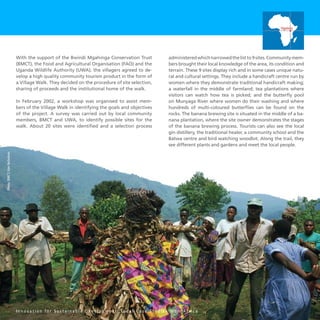 55
administeredwhichnarrowedthelistto9sites.Communitymem-
bers brought their local knowledge of the area, its condition and
terrain. These 9 sites display rich and in some cases unique natu-
ral and cultural settings. They include a handicraft centre run by
women where they demonstrate traditional handicraft making;
a waterfall in the middle of farmland; tea plantations where
visitors can watch how tea is picked; and the butterfly pool
on Munyaga River where women do their washing and where
hundreds of multi-coloured butterflies can be found on the
rocks. The banana brewing site is situated in the middle of a ba-
nana plantation, where the site owner demonstrates the stages
of the banana brewing process. Tourists can also see the local
gin distillery, the traditional healer, a community school and the
Batwa centre and bird watching woodlot. Along the trail, they
see different plants and gardens and meet the local people.
With the support of the Bwindi Mgahinga Conservation Trust
(BMCT), the Food and Agricultural Organisation (FAO) and the
Uganda Wildlife Authority (UWA), the villagers agreed to de-
velop a high quality community tourism product in the form of
a Village Walk. They decided on the procedure of site selection,
sharing of proceeds and the institutional home of the walk.
In February 2002, a workshop was organised to assist mem-
bers of the Village Walk in identifying the goals and objectives
of the project. A survey was carried out by local community
members, BMCT and UWA, to identify possible sites for the
walk. About 20 sites were identified and a selection process
I n n o v a t i o n f o r S u s t a i n a b l e D e v e l o p m e n t : L o c a l C a s e S t u d i e s f r o m A f r i c a
Photo:BMCT/KenNicholson
Uganda
 