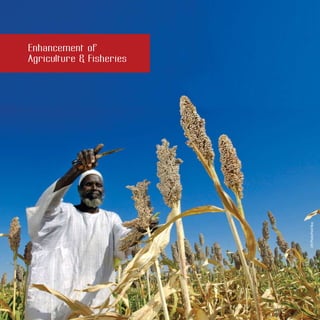 Enhancement of
Agriculture  Fisheries
UNPhoto/FredNoy
 