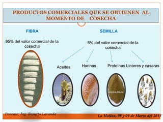 PRODUCTOS COMERCIALES QUE SE OBTIENEN AL
MOMENTO DE COSECHA
SEMILLA
Aceites Harinas Proteínas Linteres y casaras
FIBRA
95%...