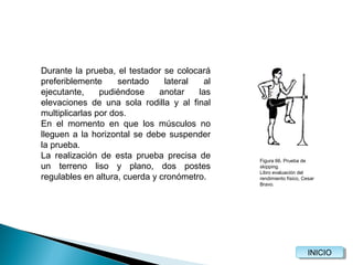 Durante la prueba, el testador se colocará
preferiblemente
sentado
lateral
al
ejecutante,
pudiéndose
anotar
las
elevaciones de una sola rodilla y al final
multiplicarlas por dos.
En el momento en que los músculos no
lleguen a la horizontal se debe suspender
la prueba.
La realización de esta prueba precisa de
un terreno liso y plano, dos postes
regulables en altura, cuerda y cronómetro.

Figura 66. Prueba de
skipping.
Libro evaluación del
rendimiento físico, Cesar
Bravo.

INICIO
INICIO

 