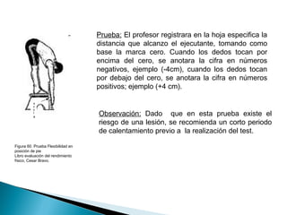 Prueba: El profesor registrara en la hoja especifica la
distancia que alcanzo el ejecutante, tomando como
base la marca cero. Cuando los dedos tocan por
encima del cero, se anotara la cifra en números
negativos, ejemplo (-4cm), cuando los dedos tocan
por debajo del cero, se anotara la cifra en números
positivos; ejemplo (+4 cm).
R
e
g

l
a

Figura 60. Prueba Flexibilidad en
posición de pie
Libro evaluación del rendimiento
físico, Cesar Bravo.

Observación: Dado que en esta prueba existe el
riesgo de una lesión, se recomienda un corto periodo
de calentamiento previo a la realización del test.

 