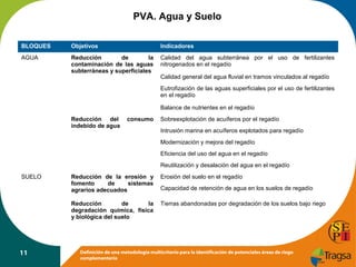 PVA. Agua y Suelo
BLOQUES

Objetivos

Indicadores

AGUA

Reducción
de
la
contaminación de las aguas
subterráneas y superficiales

Calidad del agua subterránea por el uso de fertilizantes
nitrogenados en el regadío
Calidad general del agua fluvial en tramos vinculados al regadío
Eutrofización de las aguas superficiales por el uso de fertilizantes
en el regadío
Balance de nutrientes en el regadío

Reducción del
indebido de agua

consumo

Sobreexplotación de acuíferos por el regadío
Intrusión marina en acuíferos explotados para regadío
Modernización y mejora del regadío
Eficiencia del uso del agua en el regadío
Reutilización y desalación del agua en el regadío

SUELO

Erosión del suelo en el regadío

Reducción
de
la
degradación química, física
y biológica del suelo

11

Reducción de la erosión y
fomento
de
sistemas
agrarios adecuados

Tierras abandonadas por degradación de los suelos bajo riego

Capacidad de retención de agua en los suelos de regadío

Definición de una metodología multicriterio para la identificación de potenciales áreas de riego
complementario

 