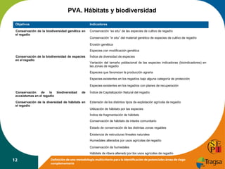 PVA. Hábitats y biodiversidad
Objetivos

Indicadores

Conservación de la biodiversidad genética en
el regadío

Conservación “ex situ” de las especies de cultivo de regadío
Conservación “in situ” del material genético de especies de cultivo de regadío
Erosión genética
Especies con modificación genética

Conservación de la biodiversidad de especies
en el regadío

Índice de diversidad de especies
Variación del tamaño poblacional de las especies indicadoras (bioindicadores) en
las zonas de regadío
Especies que favorecen la producción agraria
Especies existentes en los regadíos bajo alguna categoría de protección
Especies existentes en los regadíos con planes de recuperación

Conservación
de
la
biodiversidad
ecosistemas en el regadío

de

Conservación de la diversidad de hábitats en
el regadío

Índice de Capitalización Natural del regadío
Extensión de los distintos tipos de explotación agrícola de regadío
Utilización de hábitats por las especies
Índice de fragmentación de hábitats
Conservación de hábitats de interés comunitario
Estado de conservación de las distintas zonas regables
Existencia de estructuras lineales naturales
Humedales alterados por usos agrícolas de regadío
Conservación de humedales
Hábitats de ribera alterado por los usos agrícolas de regadío

12

Definición de una metodología multicriterio para la identificación de potenciales áreas de riego
complementario

 