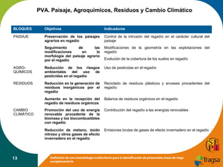 PVA. Paisaje, Agroquímicos, Residuos y Cambio Climático
BLOQUES

Objetivos

Indicadores

PAISAJE

Preservación de los paisajes
agrarios en regadío

Control de la intrusión del regadío en el carácter cultural del
paisaje

Seguimiento
de
las
modificaciones
en
la
morfología del paisaje agrario
por el regadío

Modificaciones de la geometría en las explotaciones del
regadío

AGROQUÍMICOS

Reducción de los riesgos
ambientales
del
uso
de
pesticidas en el regadío

Uso de pesticidas en el regadío

RESIDUOS

Reducción en la generación de
residuos inorgánicos por el
regadío

Reciclado de residuos plásticos y envases procedentes del
regadío

Aumento en la recepción del
regadío de residuos orgánicos

Balance de residuos orgánicos en el regadío

Promoción del uso de energía
renovable procedente de la
biomasa y los biocombustibles
con regadío

Contribución del regadío a las energías renovables

Reducción de metano, óxido
nitroso y otros gases de efecto
invernadero en el regadío

Emisiones brutas de gases de efecto invernadero en el regadío

CAMBIO
CLIMÁTICO

13

Evolución de la cobertura de los suelos en regadío

Definición de una metodología multicriterio para la identificación de potenciales áreas de riego
complementario

 