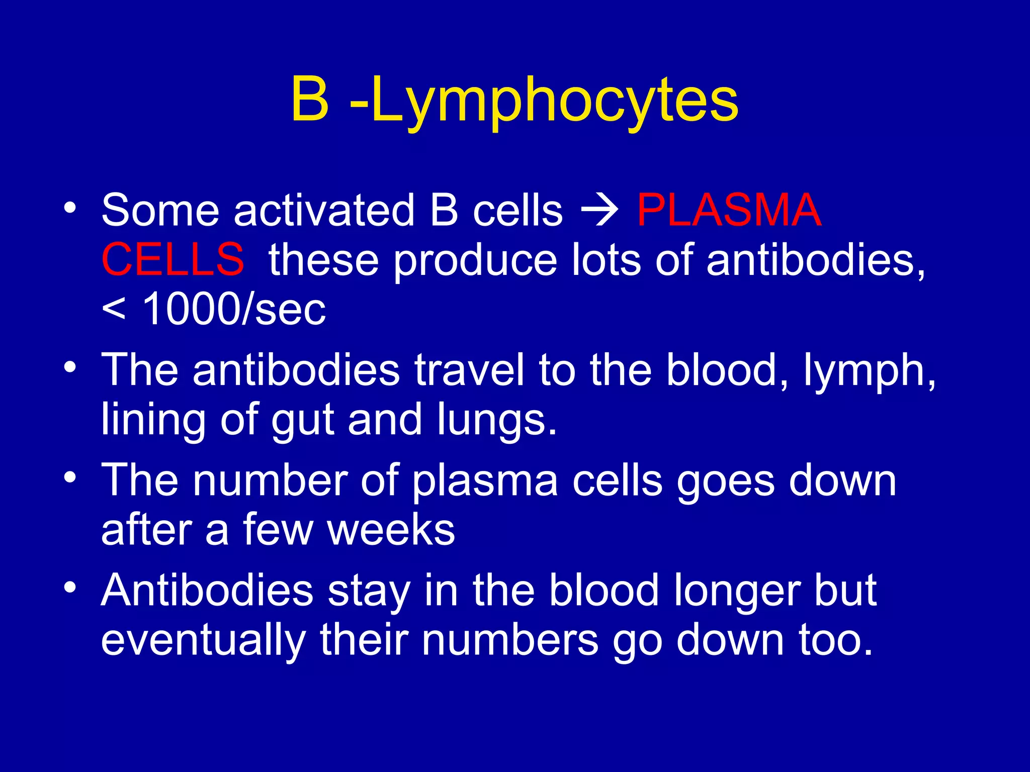 B -Lymphocytes
• Some activated B cells  PLASMA
CELLS these produce lots of antibodies,
< 1000/sec
• The antibodies travel to the blood, lymph,
lining of gut and lungs.
• The number of plasma cells goes down
after a few weeks
• Antibodies stay in the blood longer but
eventually their numbers go down too.

 