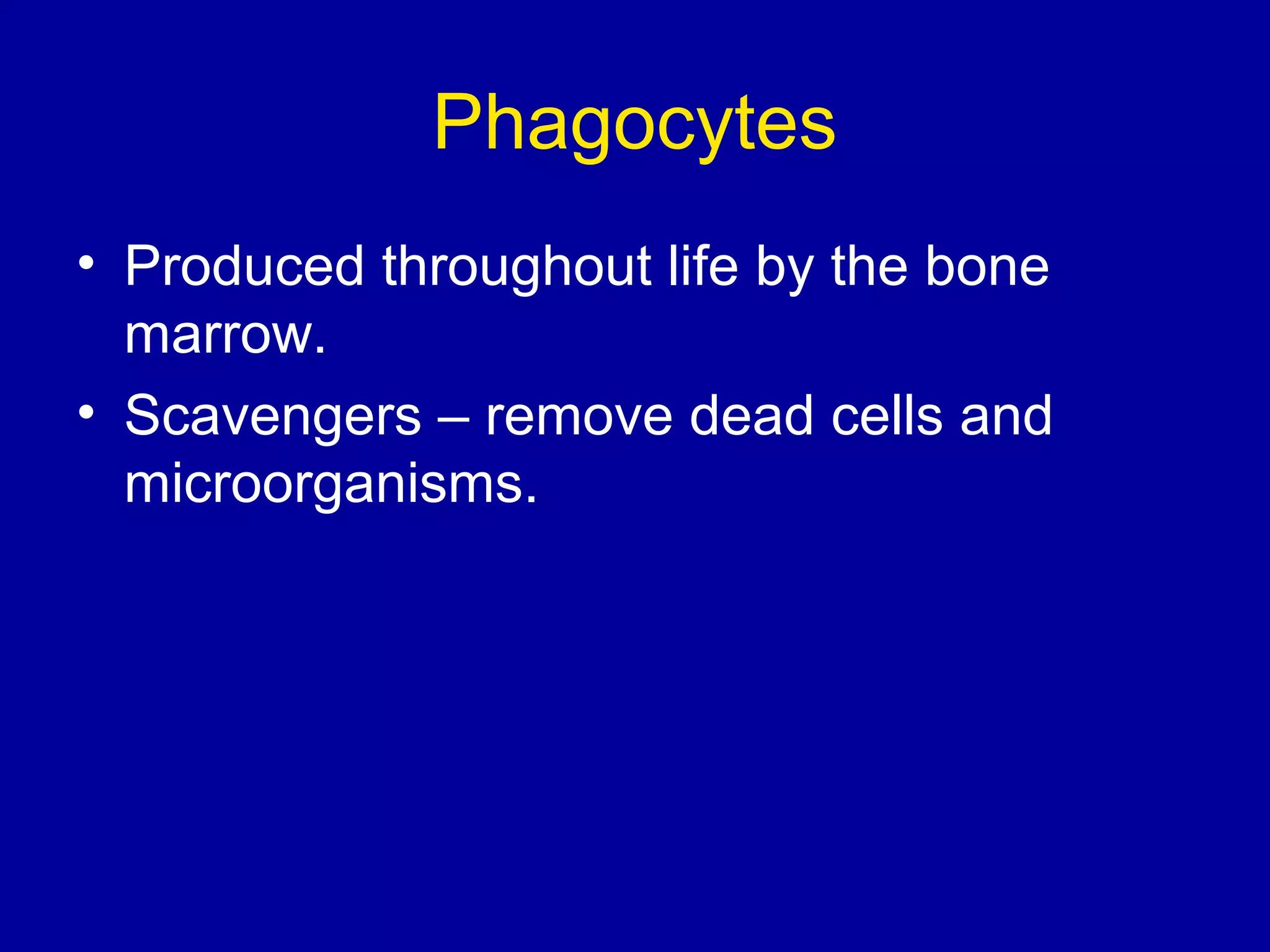 Phagocytes
• Produced throughout life by the bone
marrow.
• Scavengers – remove dead cells and
microorganisms.

 