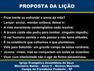 PROPOSTA DA LIÇÃO
• Ficar inerte ou enfrentar a arena da vida?
• Lançar: enviar, mandar embora, deixar ir;
• A vida meramente contemplativa nada resolve;
• A árvore caída não pediu para tombar, ninguém impediu;
• O ser humano assiste a vida passar e não toma atitudes;
• É na existência que colhemos o que plantamos;
• Vida para Salomão: um grande campo de solos variáveis;
• Jovens: vivam, mas se comportem em todas as ocasiões;
• Viver com intensidade não é agir de forma pecaminosa.
Igreja Evangélica Assembleia de Deus
Ministério Belém – Setor 5 – Álvares Machado
Campo de Presidente Prudente - SP

 