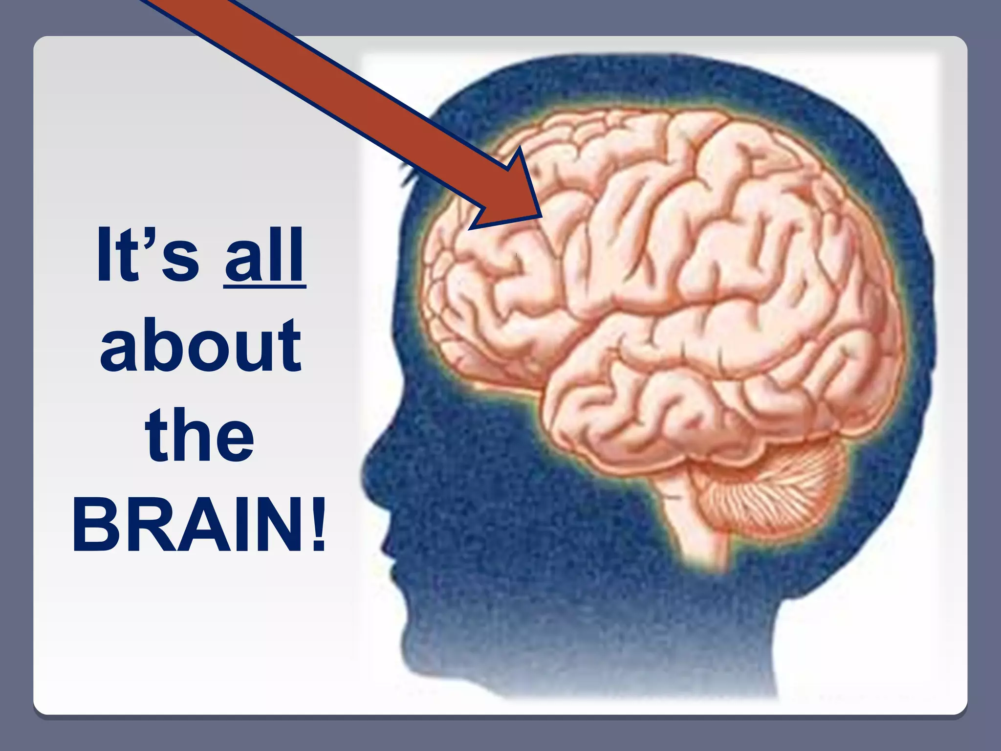 It’s all
 about
  the
BRAIN!
 