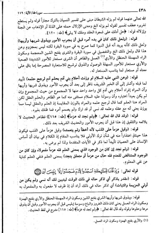 حاشية القونوي على تفسير الإمام البيضاوي 12