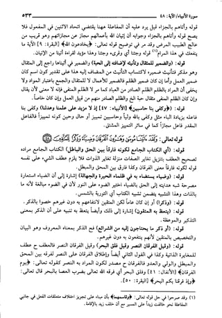 حاشية القونوي على تفسير الإمام البيضاوي 12