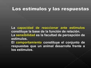 La capacidad de reaccionar ante estímuloscapacidad de reaccionar ante estímulos
constituye la base de la función de relaci...